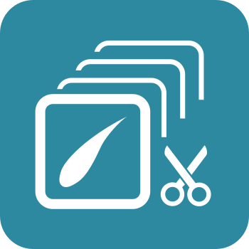 SectionalEvoluator